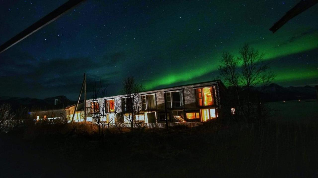 Risvaer Brygger Bed and Breakfast Digermulen Exteriör bild